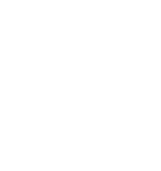 SASHIMA IIDAEN
